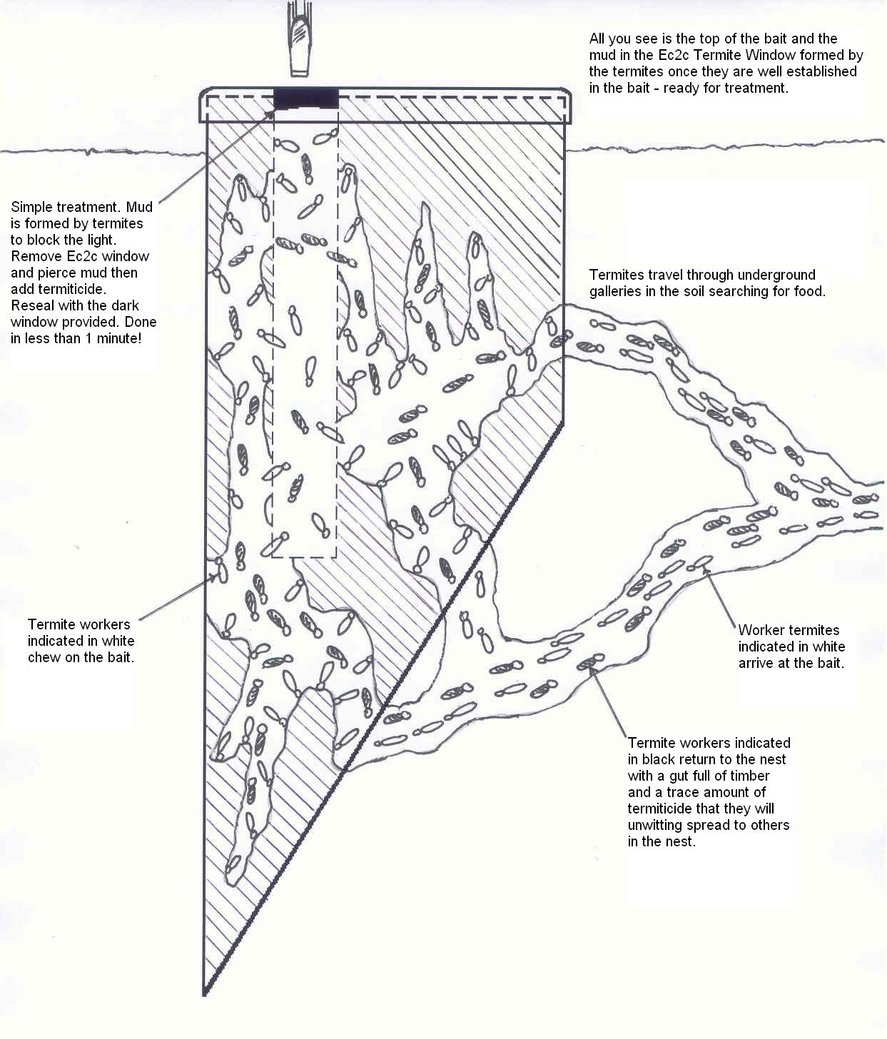 Details about   10 Boxes DIY Termite Bait System Coloni Eliminate Termite Killing Control DHL 